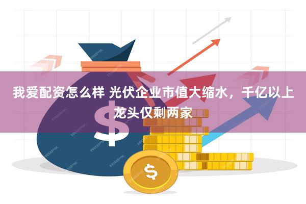 我爱配资怎么样 光伏企业市值大缩水，千亿以上龙头仅剩两家