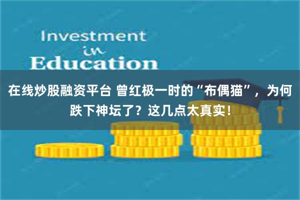 在线炒股融资平台 曾红极一时的“布偶猫”，为何跌下神坛了？这几点太真实！