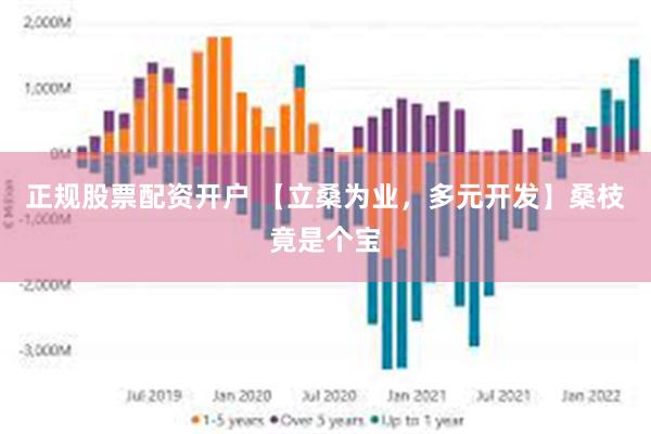 正规股票配资开户 【立桑为业，多元开发】桑枝竟是个宝