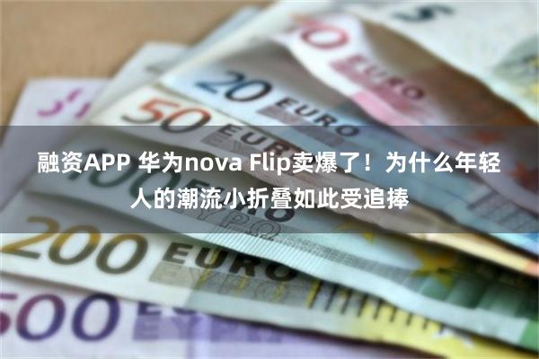 融资APP 华为nova Flip卖爆了！为什么年轻人的潮流小折叠如此受追捧