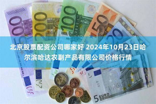 北京股票配资公司哪家好 2024年10月23日哈尔滨哈达农副产品有限公司价格行情