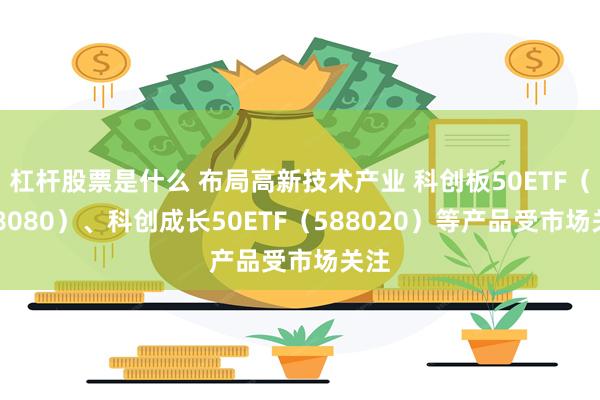 杠杆股票是什么 布局高新技术产业 科创板50ETF（588080）、科创成长50ETF（588020）等产品受市场关注