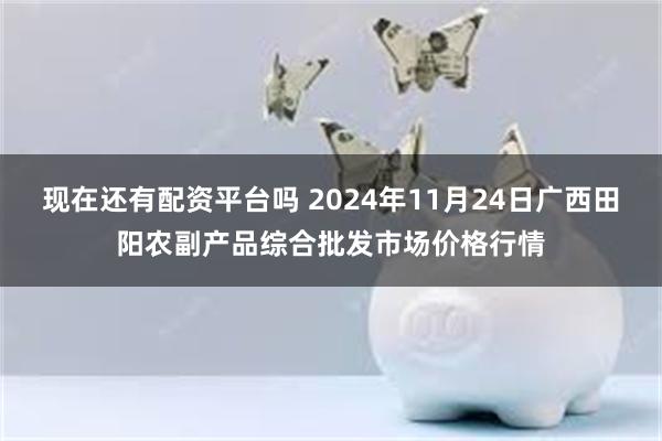 现在还有配资平台吗 2024年11月24日广西田阳农副产品综合批发市场价格行情