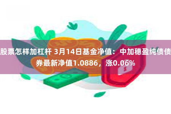 股票怎样加杠杆 3月14日基金净值：中加穗盈纯债债券最新净值1.0886，涨0.06%