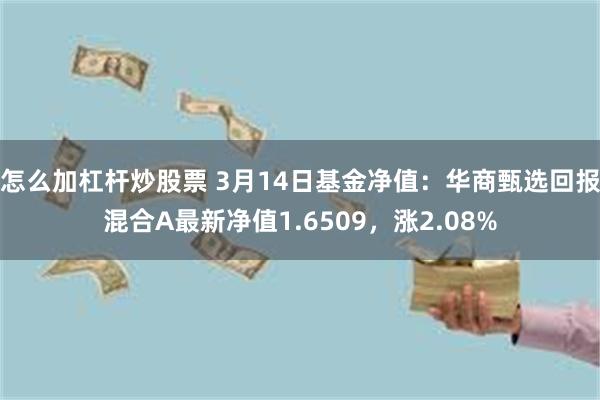 怎么加杠杆炒股票 3月14日基金净值：华商甄选回报混合A最新净值1.6509，涨2.08%